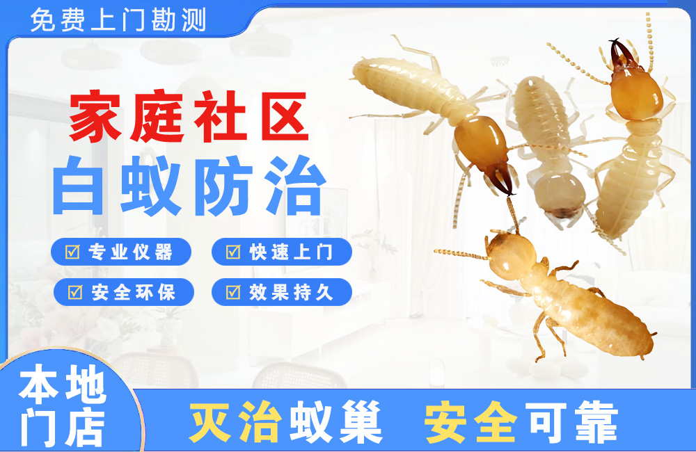 瑞丽家庭社区白蚁防治