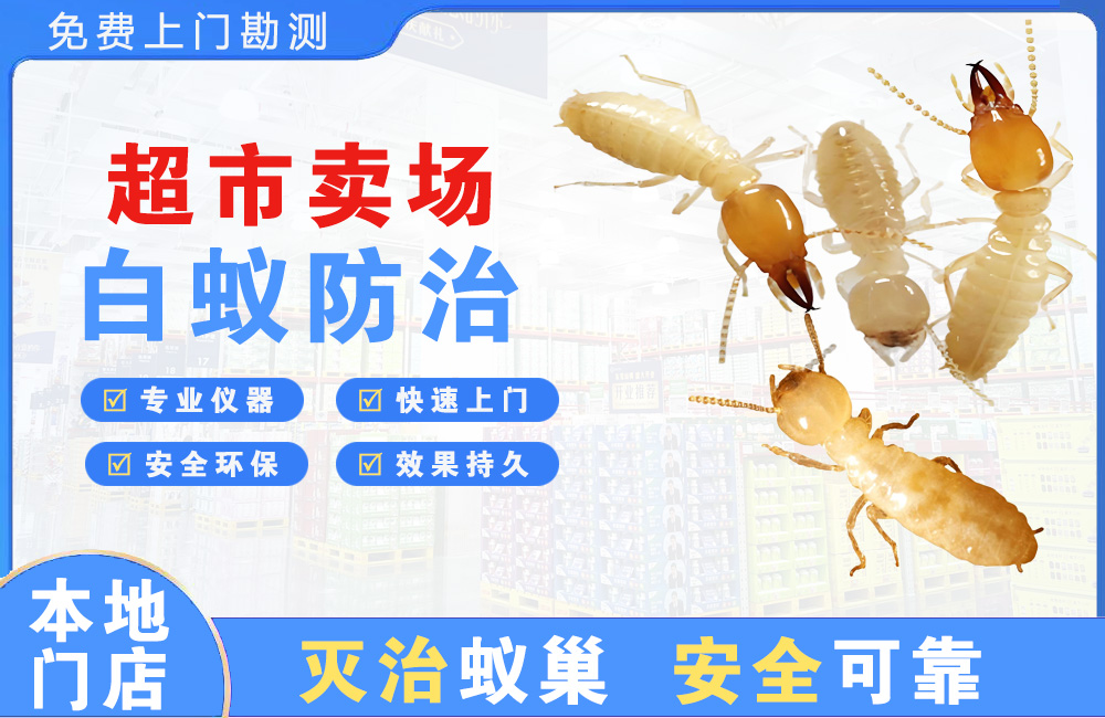 瑞丽超市卖场白蚁防治
