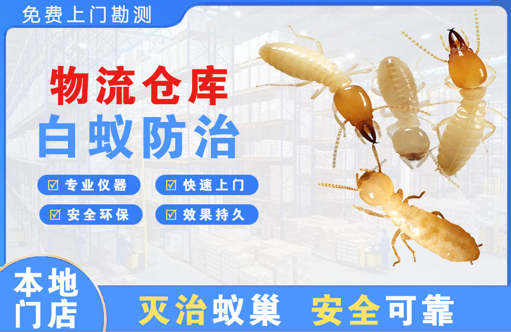 瑞丽物流仓库白蚁防治