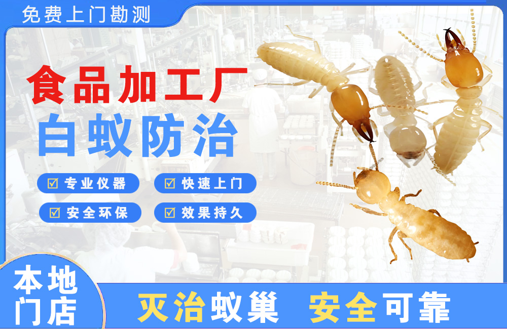 瑞丽食品加工厂白蚁防治