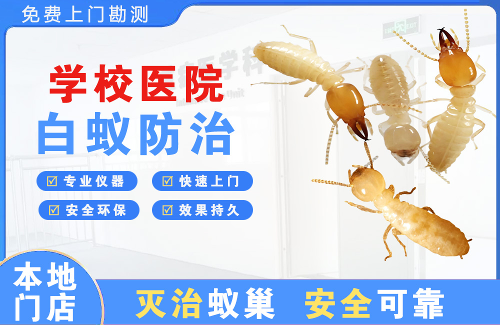 瑞丽学校医院白蚁防治