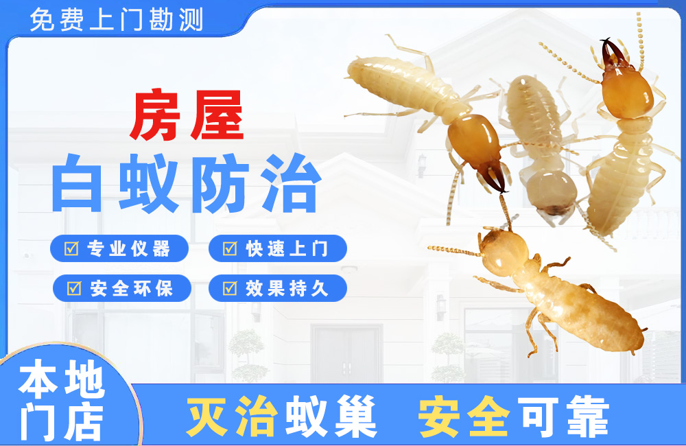 瑞丽房屋白蚁防治