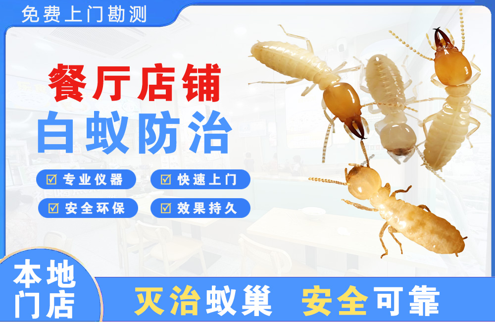瑞丽餐厅店铺白蚁防治